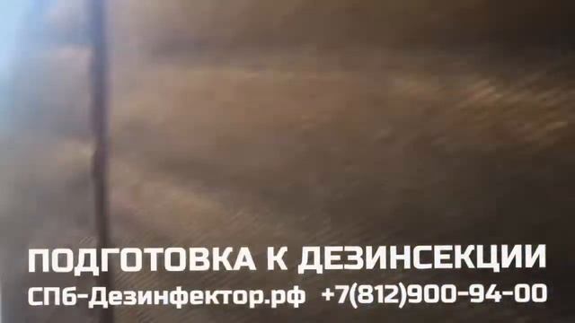 КЛОПЫ Подготовка к дезинсекции +7(812)900-94-00 СПб Дезинфектор СЭС Санкт Петербург смотреть онлайн