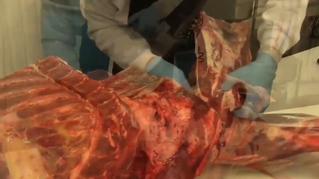 Шаговая пила Jarvis – склад Москва, в наличии