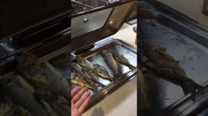 СОРГУН АКАДИЯ. Sorgun Akadia Hotel Premium 5* (UAI) ПИТАНИЕ В ОТЕЛЕ. ТУРЦИЯ ?? СИДЕ