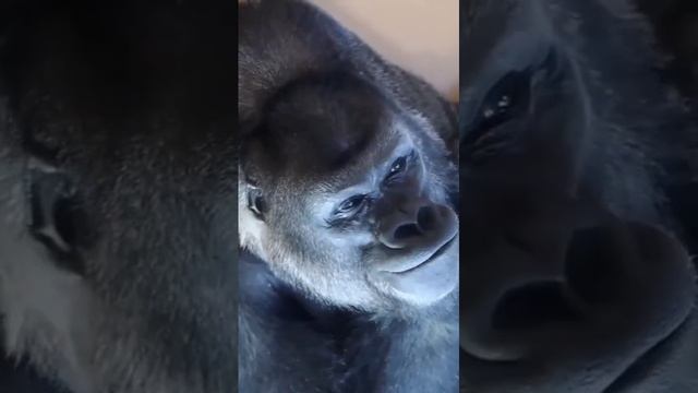 Праздник нужен смотреть онлайн