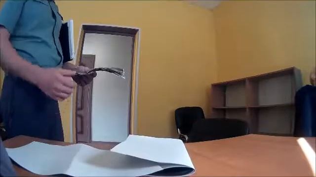 болото Кулика с парящими над ним двуглавым стервятником и Чайкой смотреть онлайн