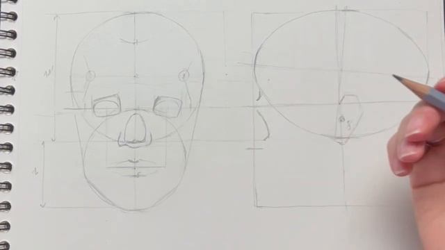 Портрет в профиль пропорции. Как научиться рисовать портрет. смотреть онлайн