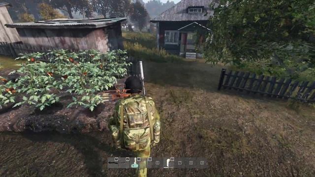 DayZ Standalone 1.09 | Гайд о вирусе Z | Predators PVE смотреть онлайн