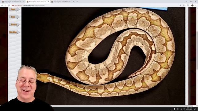 My Biggest Ball Python - Almost Six Feet Long! смотреть онлайн