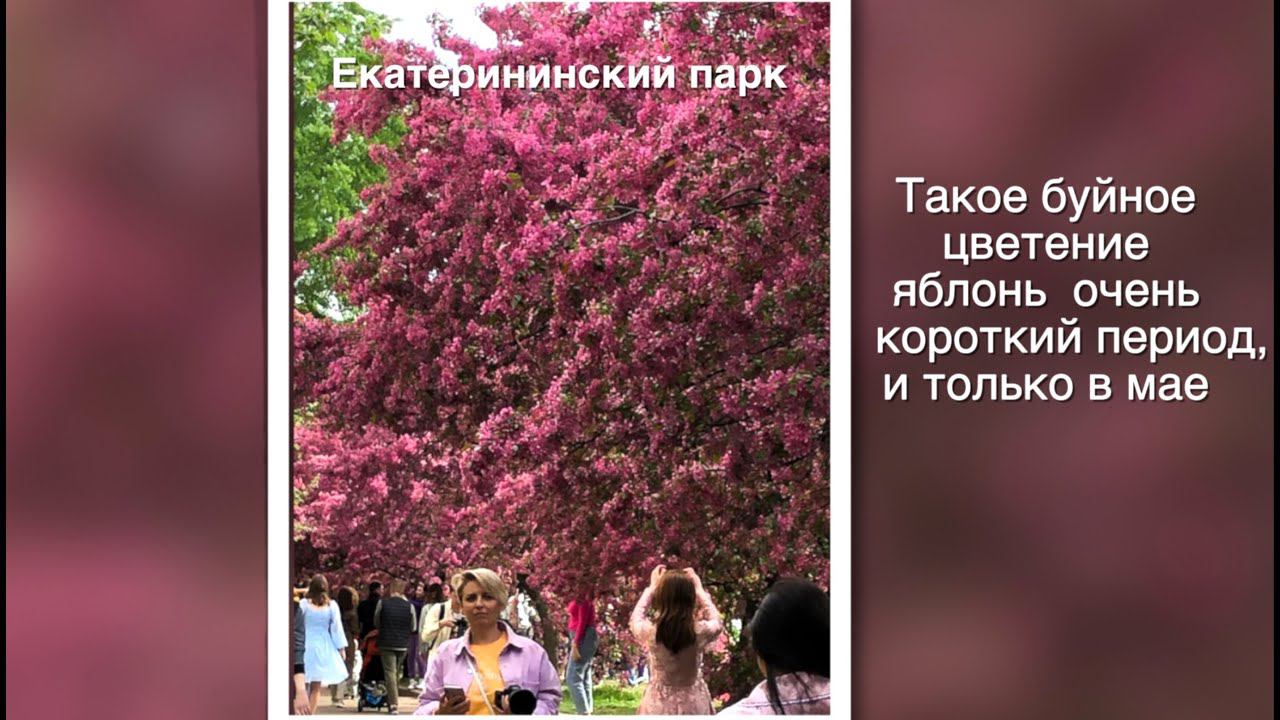 Прогулка по Екатерининскому парку, Москва (май 2023) смотреть онлайн