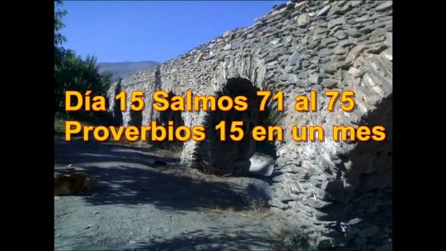 Audio Biblia Octubre 15 Números 28 al 30 Salmos 71 al 75 Proverbios 15 смотреть онлайн