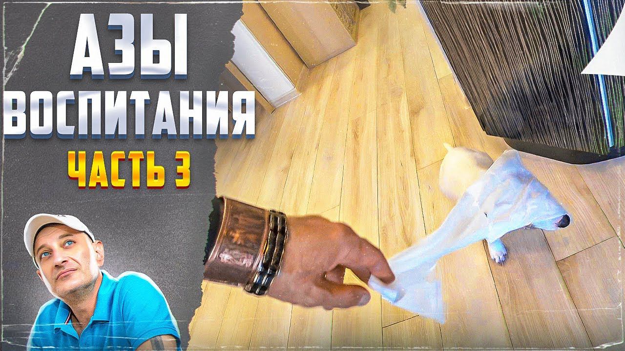 Азы воспитания (Часть 3) смотреть онлайн