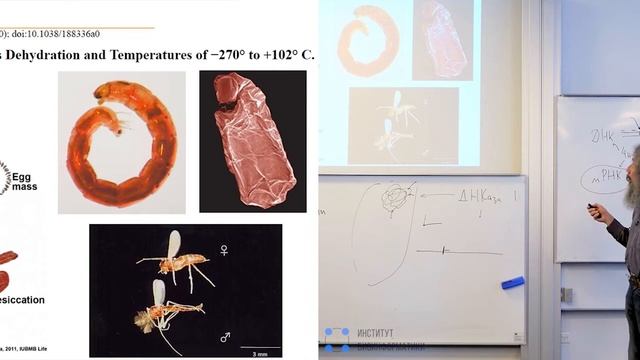 Михаил Гельфанд. Молекулярная биология между пробиркой и компьютером