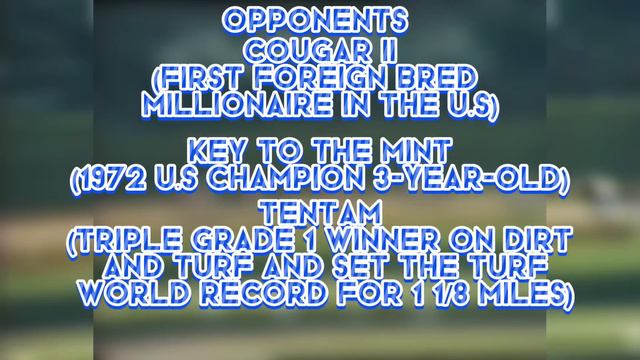 Man O’ War Vs Secretariat Who Would Win!? смотреть онлайн