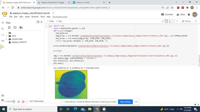 How to build a Convolutional Neural Network to predict 3 Stages in Papaya Maturity смотреть онлайн