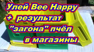 Ульи из ППС и ППУ Обзор улья Bee Happy + Результат  ЗАГОНА  пчёл в магазины !  Начинающий пчеловод !
