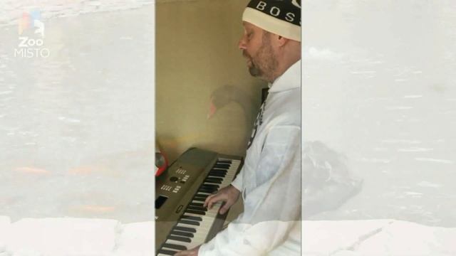 ФЕЛИКС ЛУЦКИЙ«ЛЕБЕДЬ ЧЕРНЫЙ»Музыка:Ф.Луцкий Слова: А.Туровский смотреть онлайн