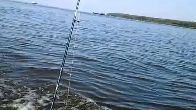 Ямаран F340+ Ямаха 5 л.с. 2 такт. смотреть онлайн