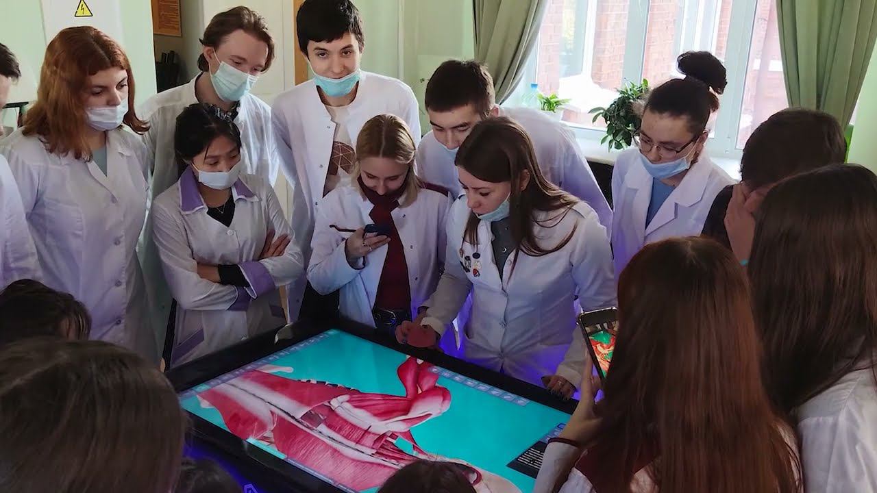 Интерактивный анатомический атлас смотреть онлайн