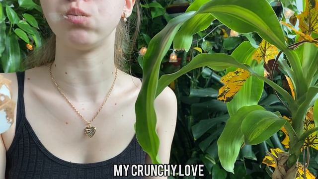 Печенье с вареньем?// Cookie with jam// ASMR// MUKBANG смотреть онлайн