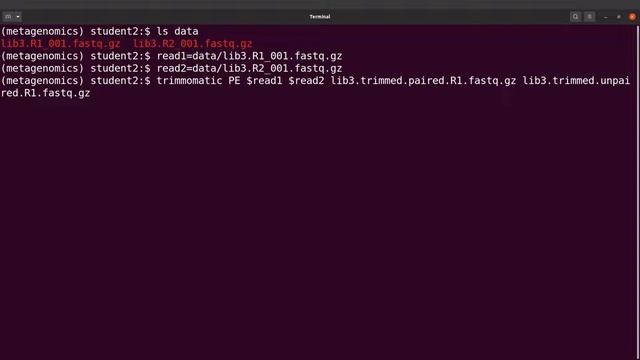 Trimmomatic paired end trimming | Trimmomatic tutorial смотреть онлайн