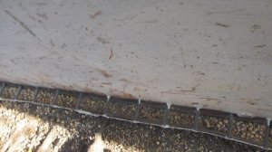 Кормушка для кур