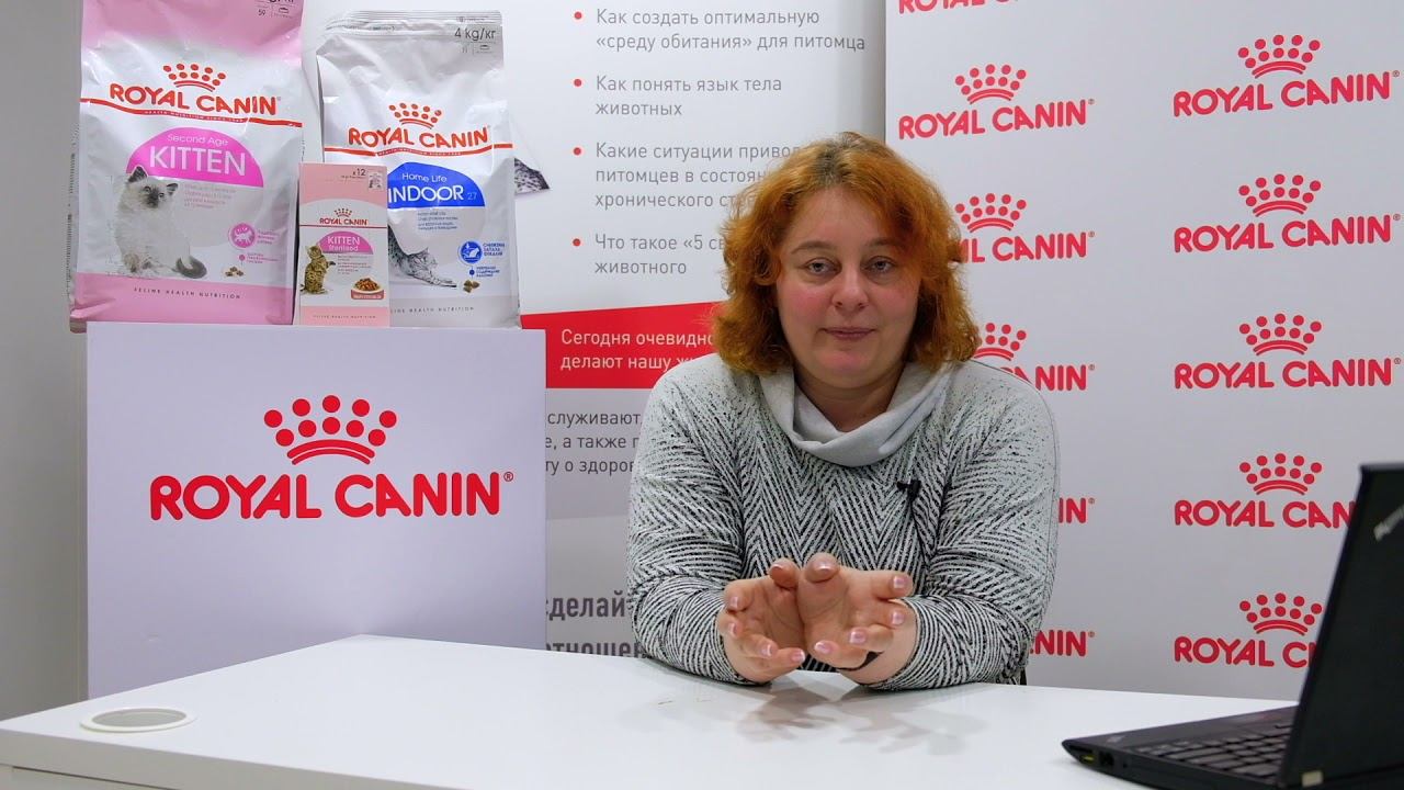 Заводчик – Владелец - Ветеринар