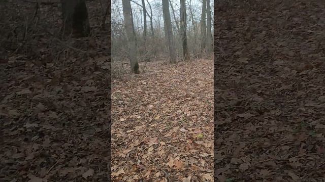 Сможет ли стафф защитить своего хозяина? смотреть онлайн