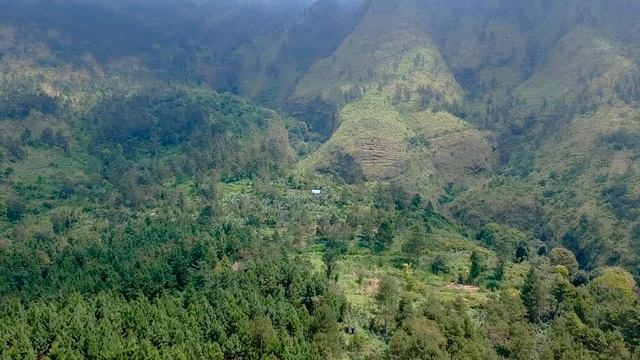 Coffee Tour | Arjuno Plantations East Java - Indonesia смотреть онлайн