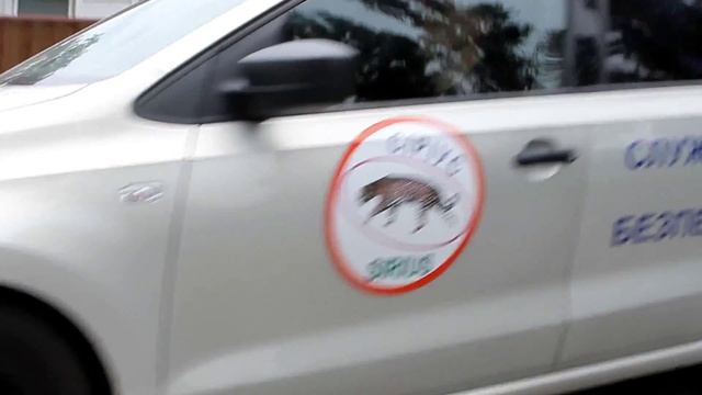 Бойцы спецподразделения СИРИУС - тренировки, спорт, бокс, рукопашный бой смотреть онлайн