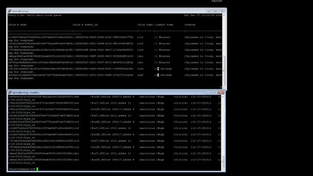 5.Check Point Sandblast. Лабораторная работа №3 смотреть онлайн