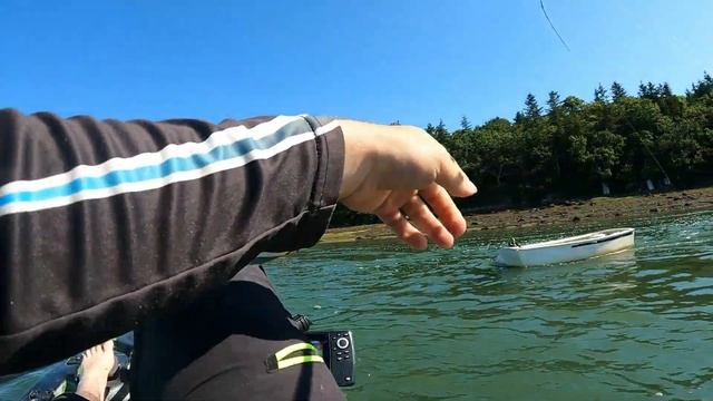 pêche du bar en estuaire смотреть онлайн
