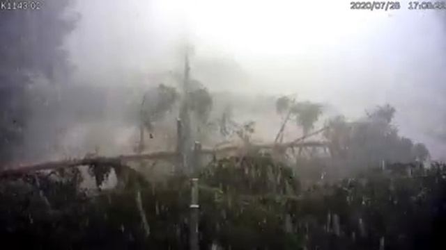 Непогода на белорусско-литовской границе смотреть онлайн