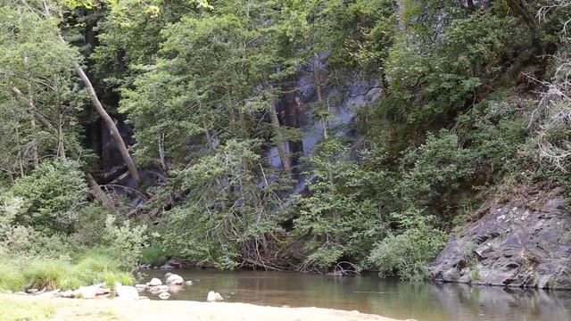 CAL FIRE Firefighters and Helicopters Battle Wildfire in Henry Cowell State Park смотреть онлайн
