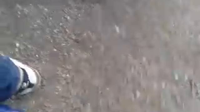 Bruit Yasuni C16 смотреть онлайн