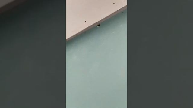 30 октября 2020 г. смотреть онлайн