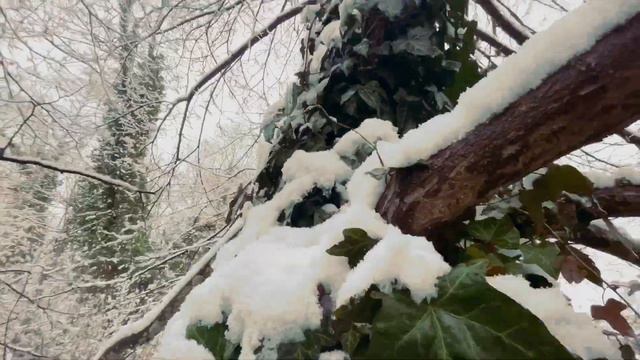 Amper Fürstenfeldbruck смотреть онлайн