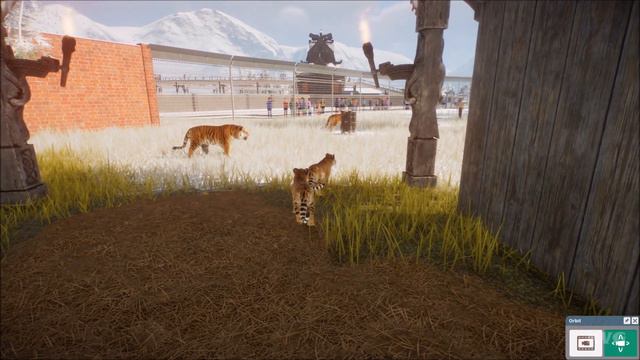 Planet Zoo - Siberian Tiger Gameplay (PC HD) [1080p60FPS] смотреть онлайн