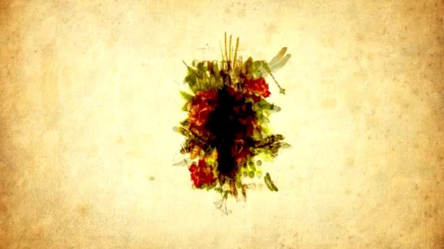 Nico Muhly : "Mothertongue" (Pt. 1: Archive) смотреть онлайн