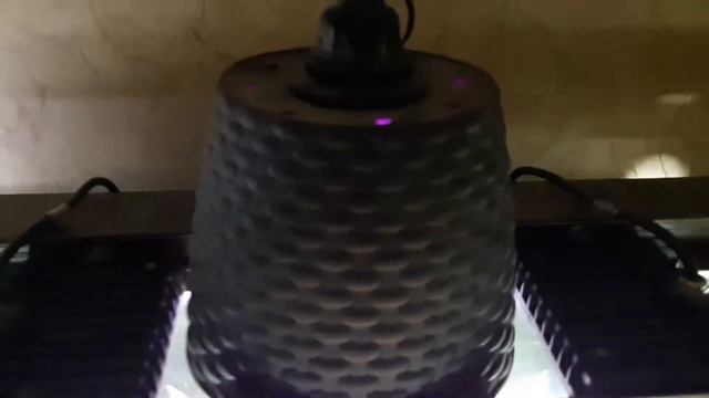 Не голубая луна !)) 100л . Фито лампа! 13.09.19. смотреть онлайн