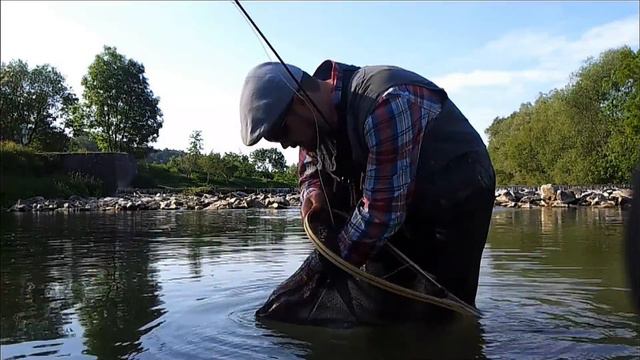Fly Fishing Traisen Lower Austria for huge trout AUSTRIA смотреть онлайн