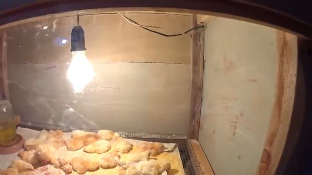 БРУДЕР СВОИМИ РУКАМИ смотреть онлайн