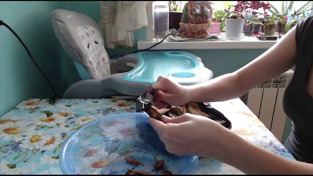 Субстрат для орхидей делаем сами! смотреть онлайн