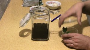 Как сделать замкнутую экосистему (Closed Ecological System)