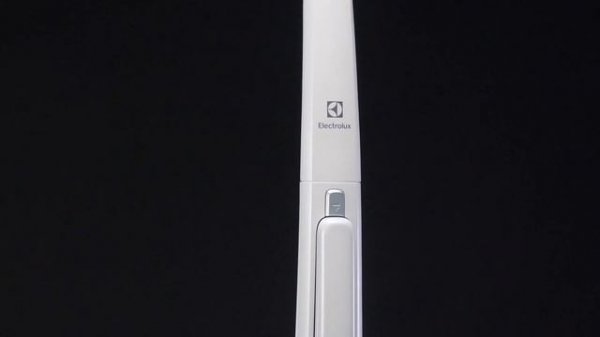 Electrolux  Ergorapido EER7ALLRGY