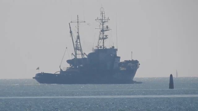 Керчь.Удивительный кустарник. БУДДЛЕЯ ДАВИДА.Морской отряд.Пролив. смотреть онлайн