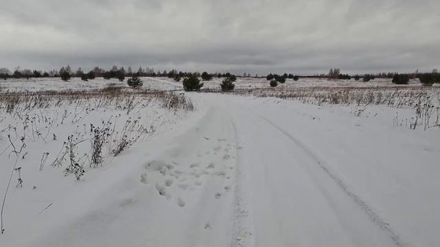 Обучение собаки команде лежать по свистку смотреть онлайн
