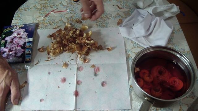 Гладиолусы. Готовим к посадке. Проращивание в опилках. смотреть онлайн