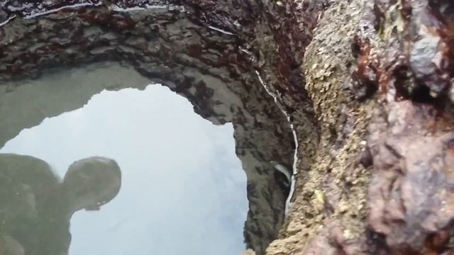 Путешествие семьёй в Гоа за 30 000 р.!!! Где отдохнуть? смотреть онлайн