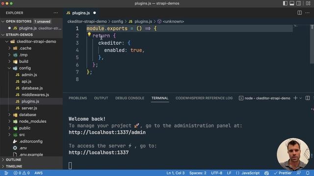 Customizing the WYSIWYG in Strapi смотреть онлайн
