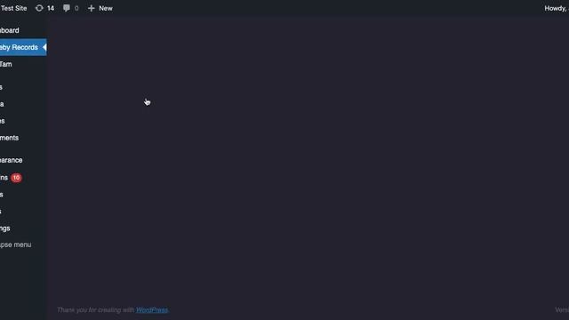 How to Record Registered Users session from Wordpress admin panel смотреть онлайн
