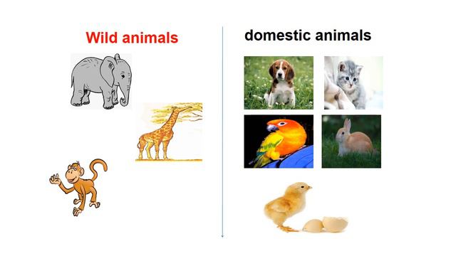 Grade 2 What can animals do? 2 Smilesc2 p.97 Unit 7 Lesson 5 смотреть онлайн