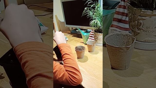Как правильно садить редиску смотреть онлайн