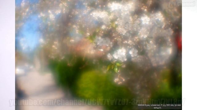 Монокль Индустар 50-2 смотреть онлайн