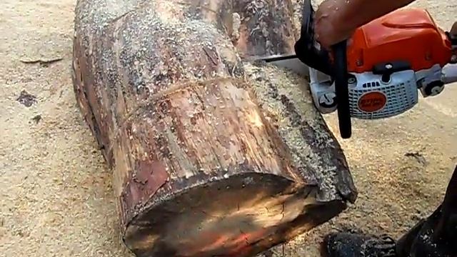 Pilarka Spalinowa Stihl MS 291 - Ostatni Wałek Sosnowy... :) ;)